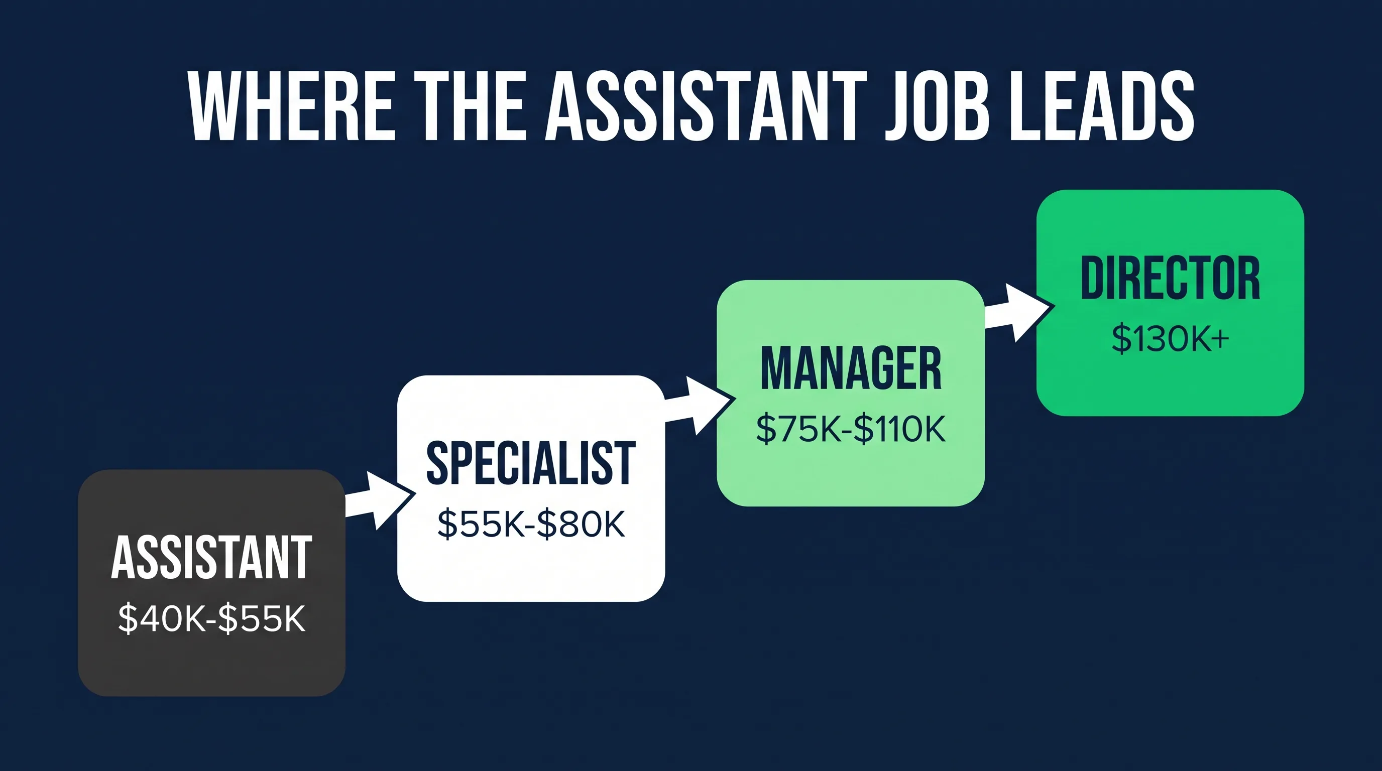 Ecommerce career progression from assistant to manager
