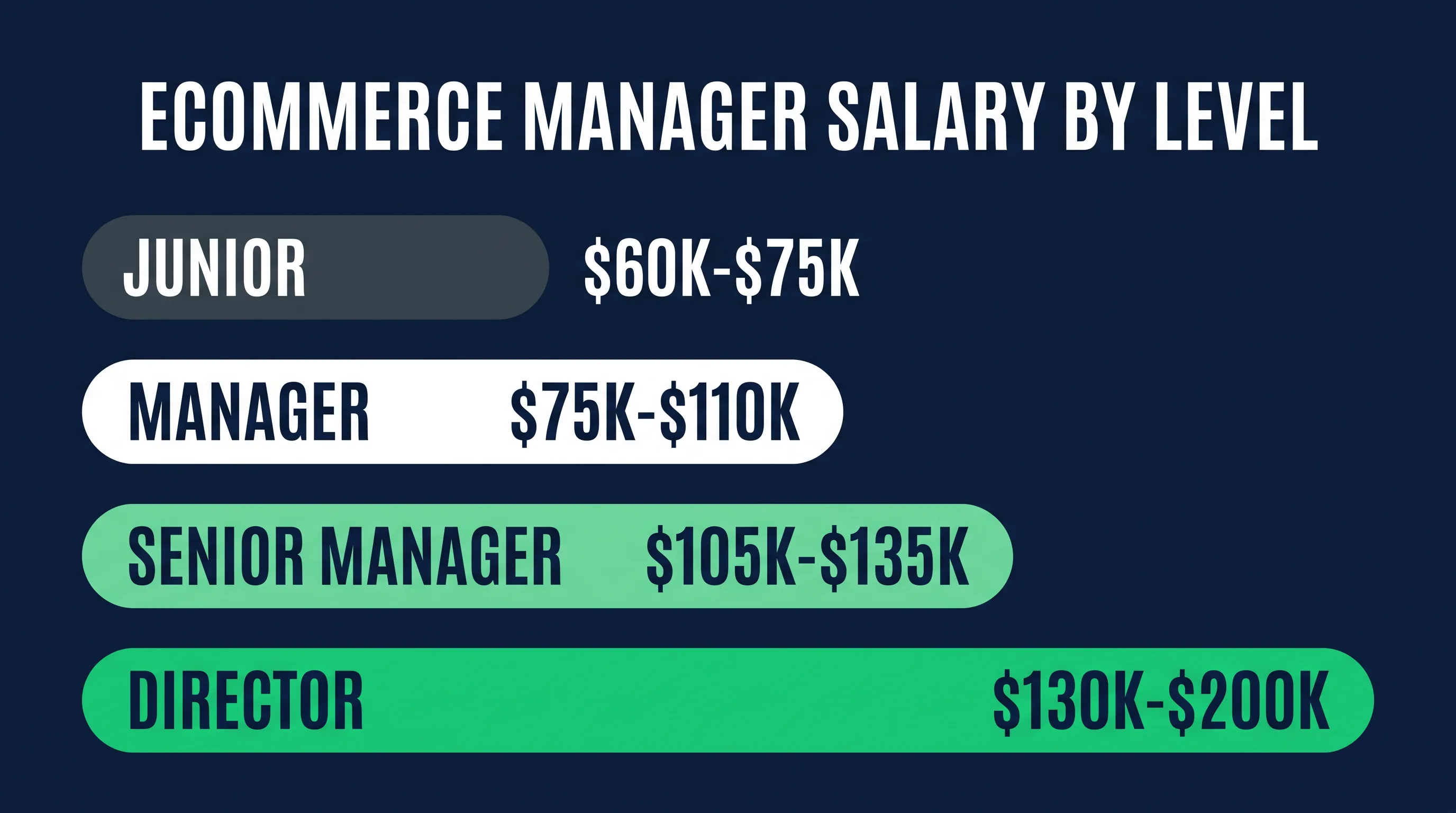 Ecommerce manager salary by company size and level in the US