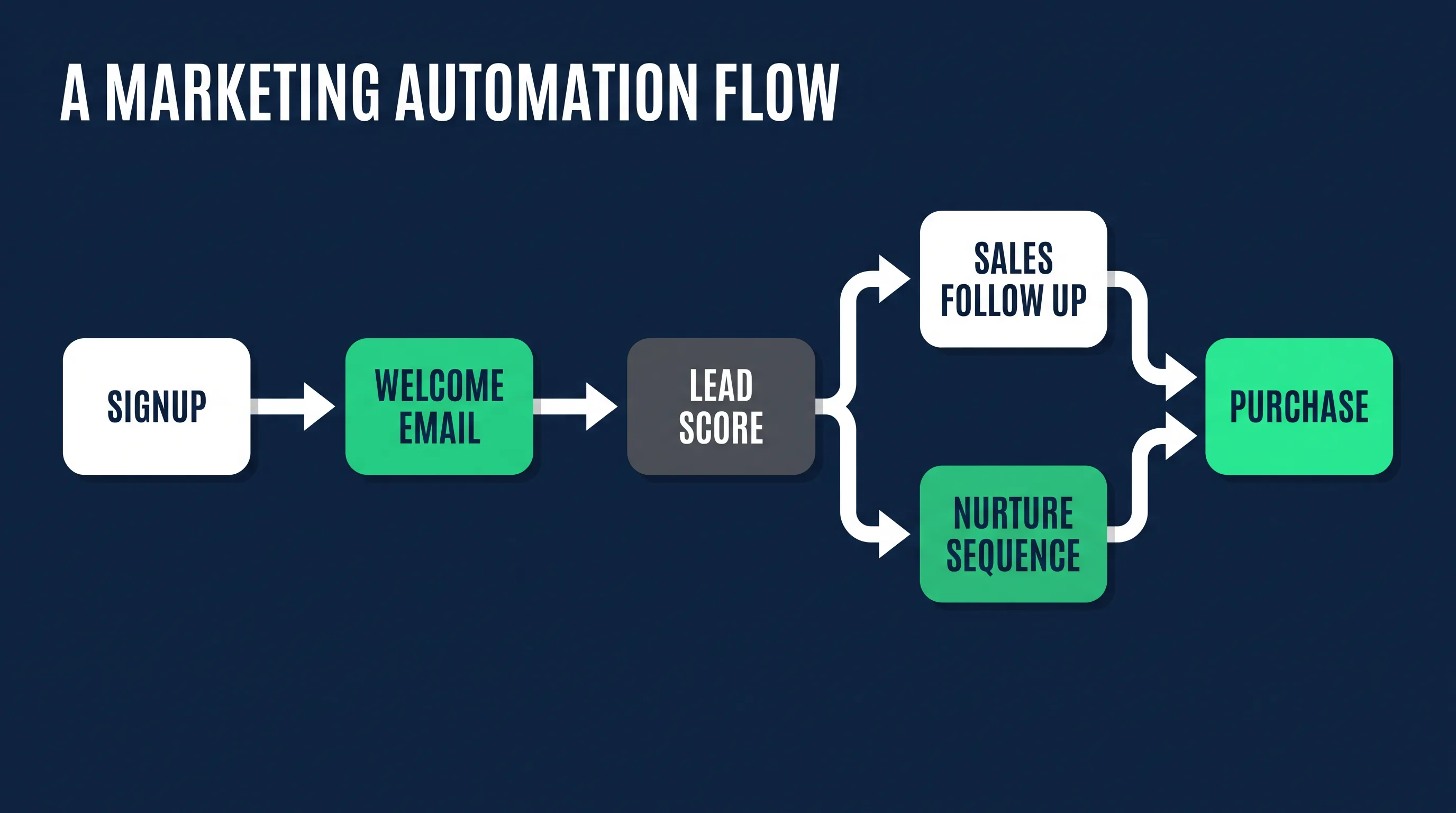 Diagram of a marketing automation workflow from signup to purchase